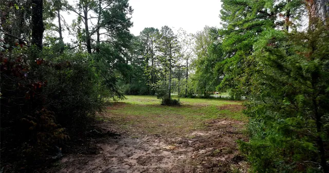 a view of outdoor space and yard