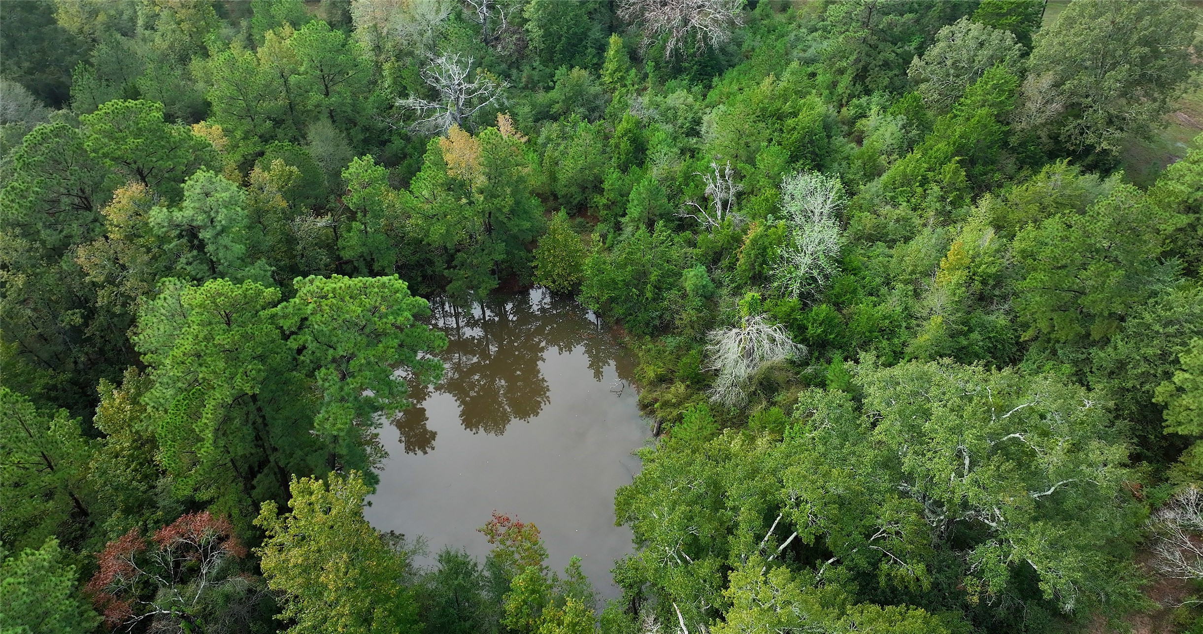 0 Spring Branch Road Montgomery, TX 77316 - Photo 6 of 17 a view of a lake view with houses in back