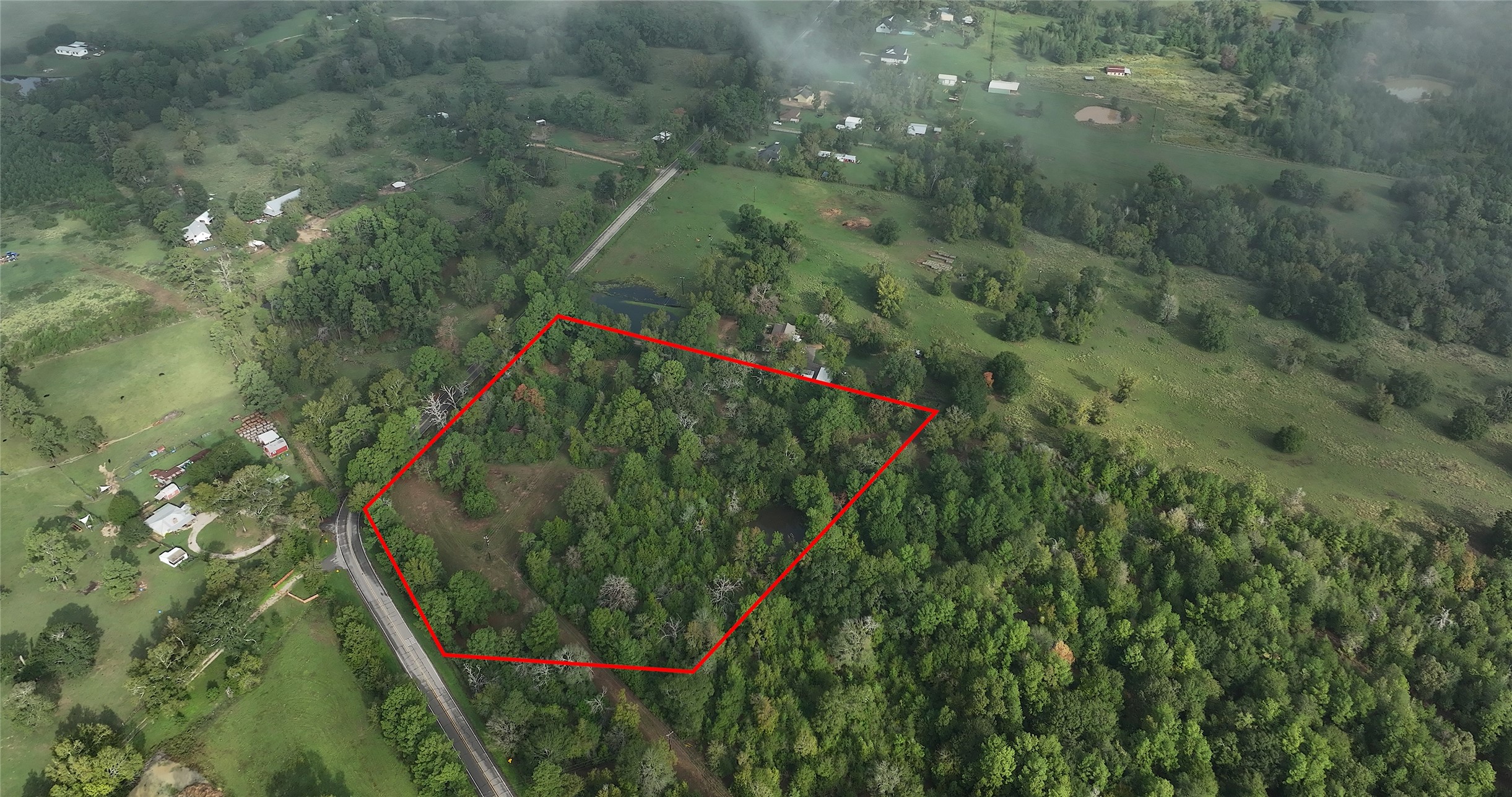 0 Spring Branch Road Montgomery, TX 77316 - Photo 8 of 17 a view of a plant in a forest