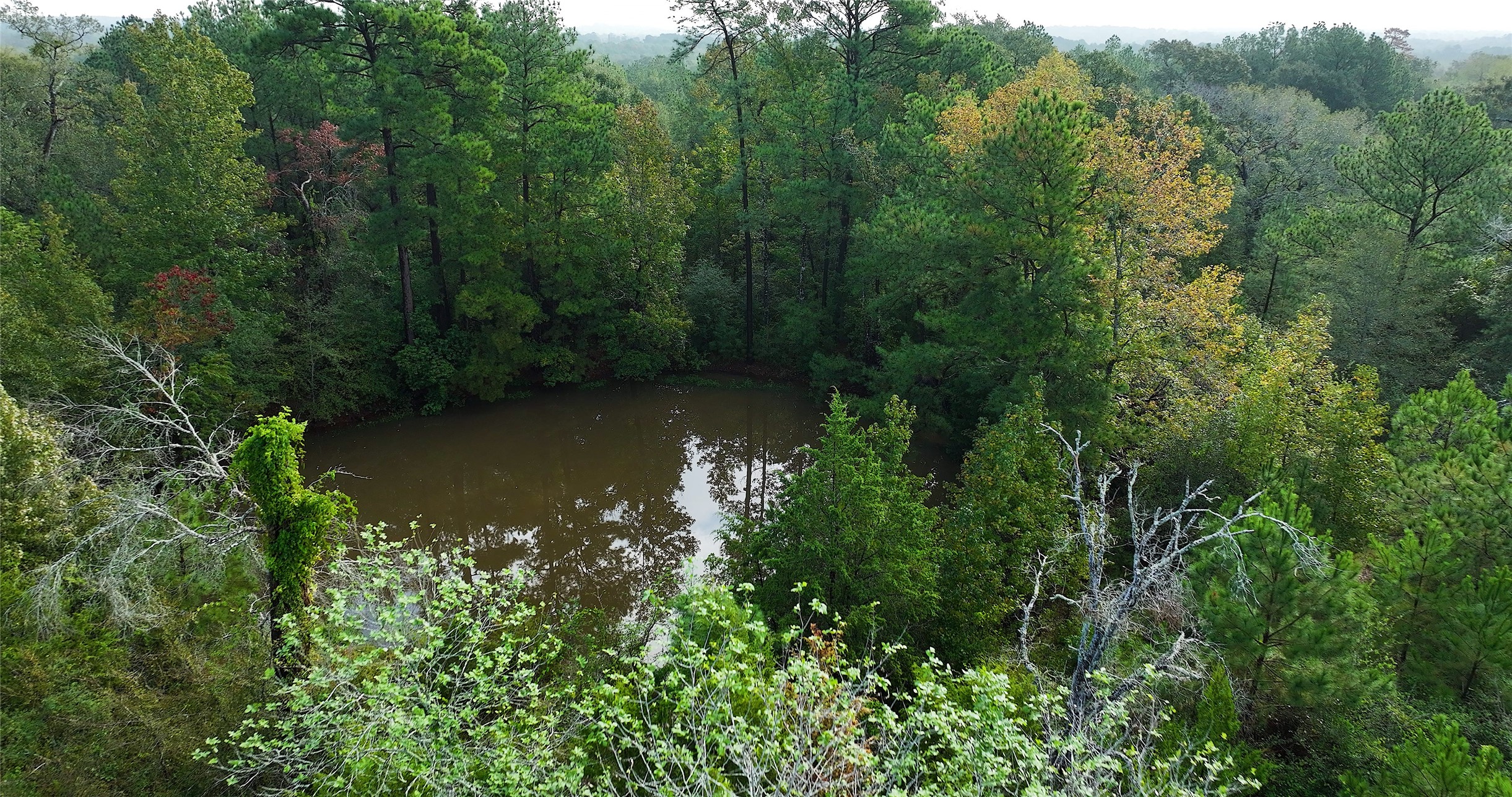 0 Spring Branch Road Montgomery, TX 77316 - Photo 9 of 17 a view of a lake with a yard