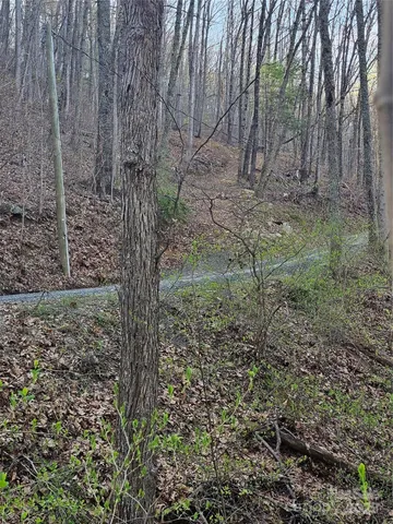 $139,111 | 99999 Pink Fox Cove Road, Weaverville, NC 28787