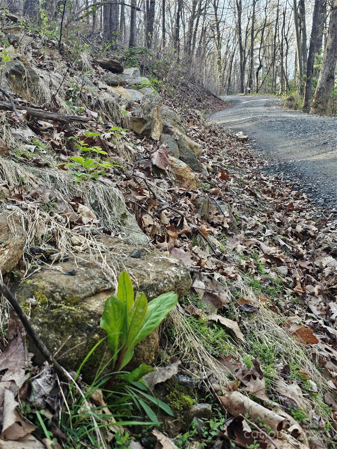 99999 Pink Fox Cove Road Weaverville, NC 28787 - Photo 12 of 14