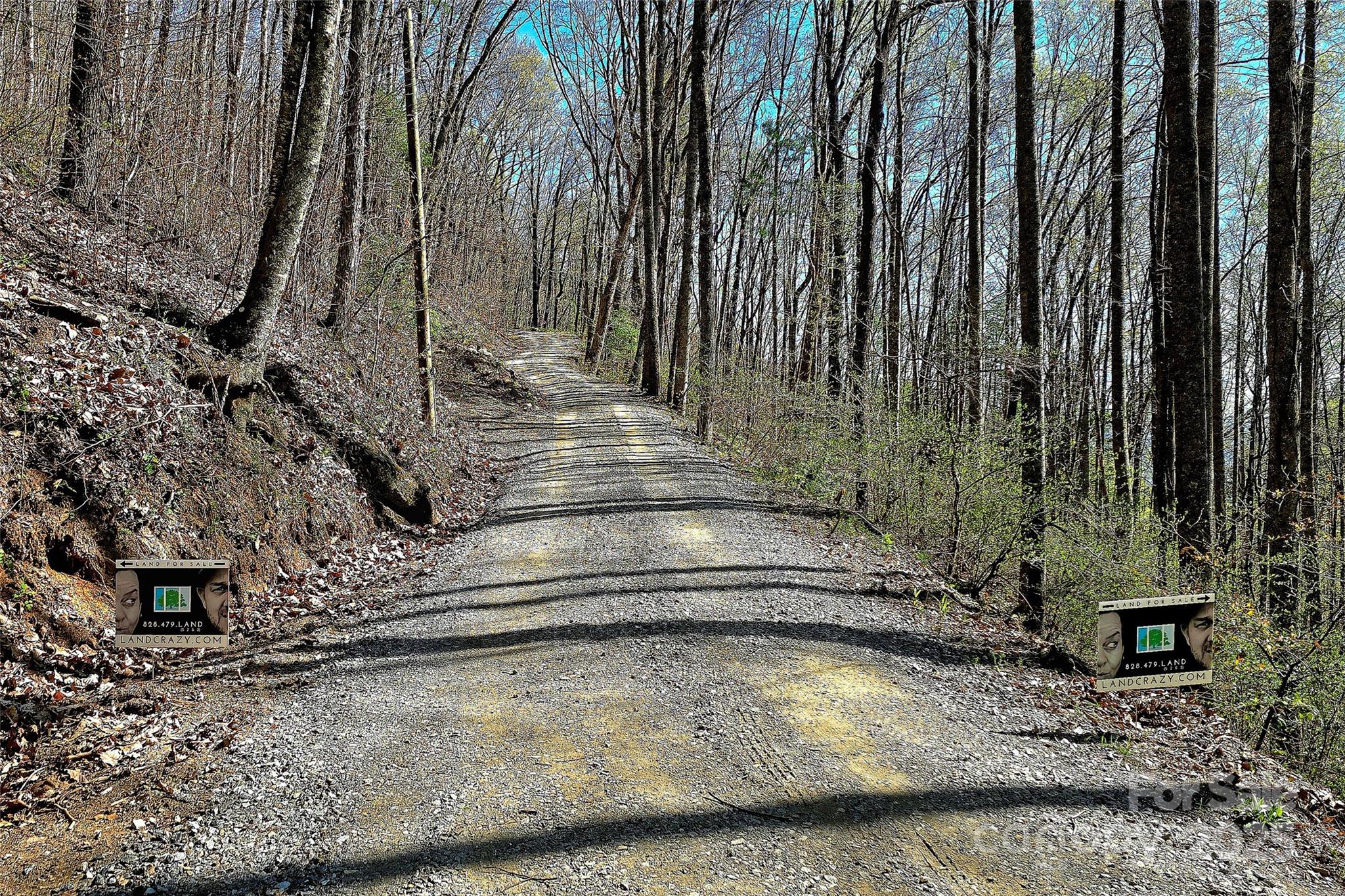 99999 Pink Fox Cove Road Weaverville, NC 28787 - Photo 2 of 14
