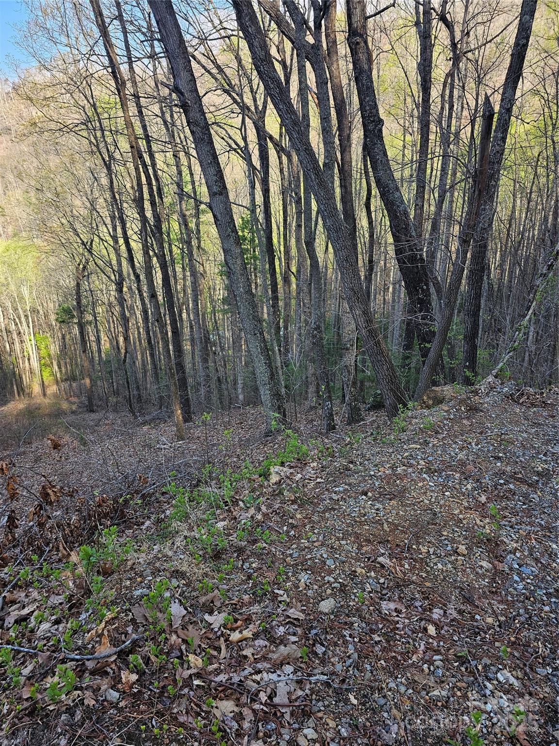 99999 Pink Fox Cove Road Weaverville, NC 28787 - Photo 4 of 14