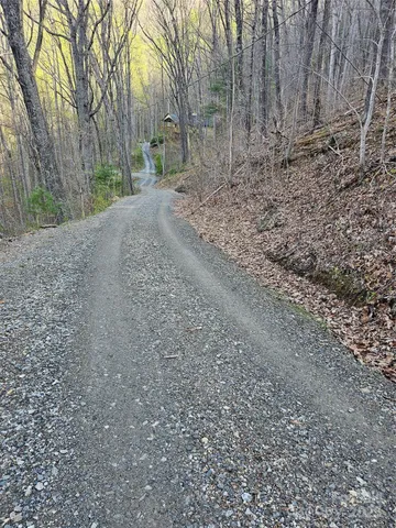 a view of backyard with trees