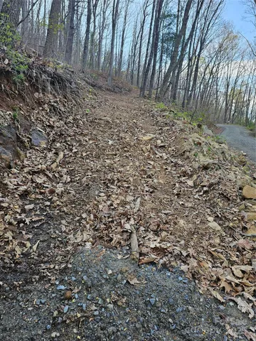a view of road with trees