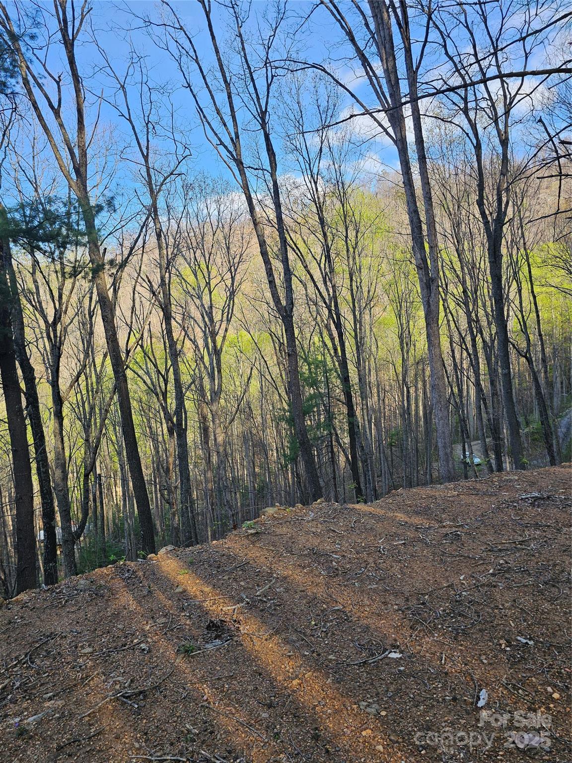 99999 Pink Fox Cove Road Weaverville, NC 28787 - Photo 10 of 14 a view of a backyard of a house