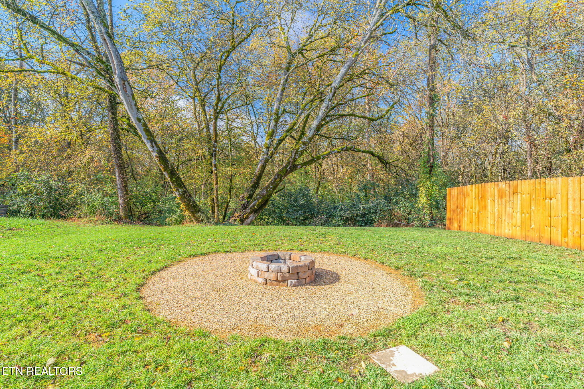 9445 River Cane Road Mascot, TN 37806 - Photo 38 of 38 38-web-or-mls-9445 River Cane Road