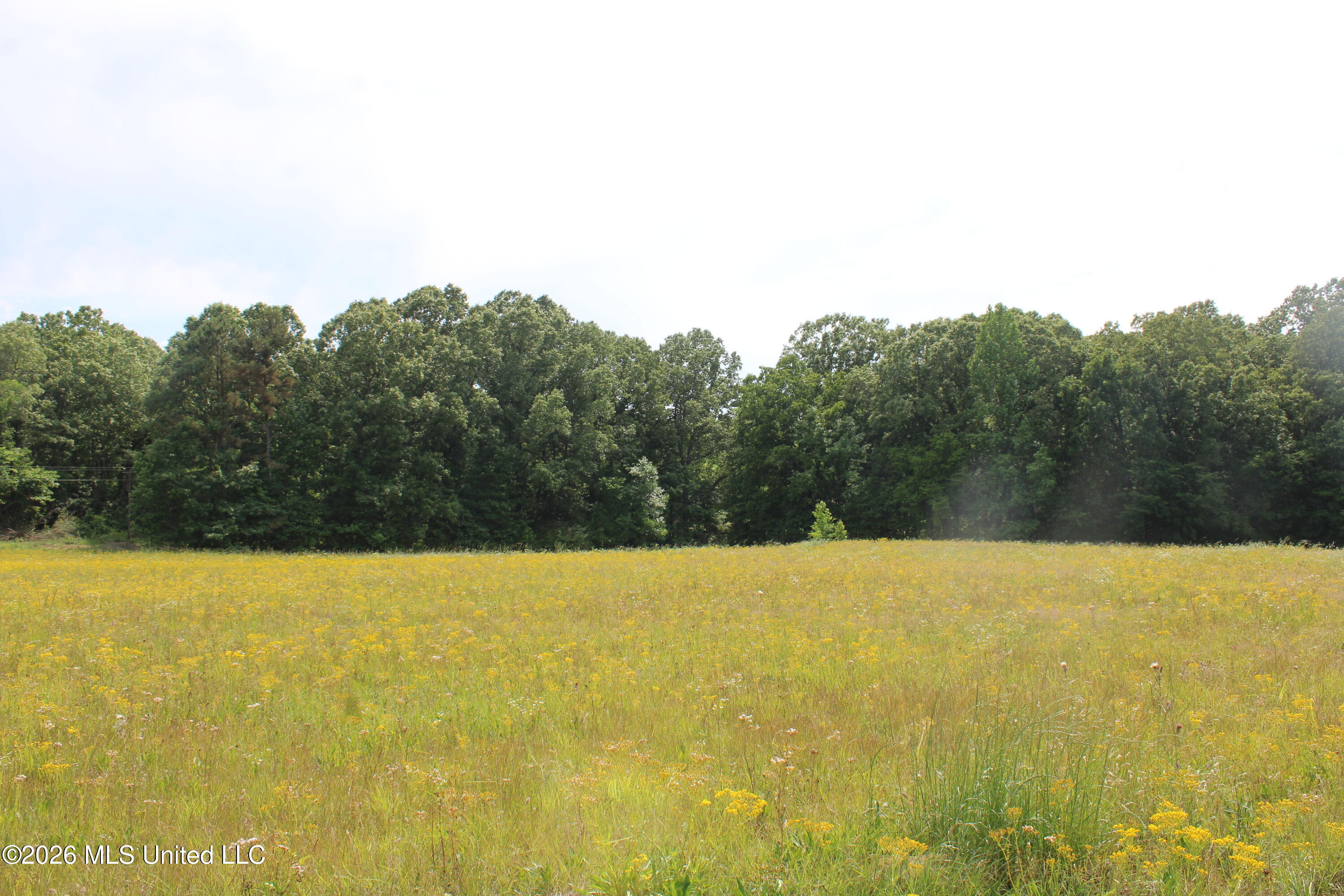 100 Boswell Road Holly Springs, MS 38635 - Photo 13 of 17 IMG_7817