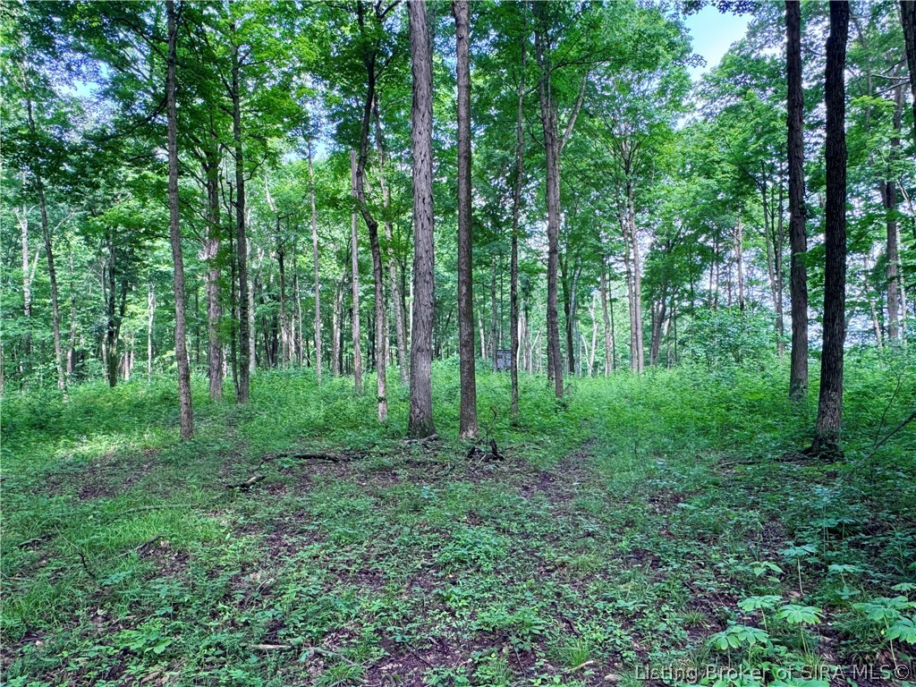 9462 East Saylor Road Salem, IN 47167 - Photo 45 of 50
