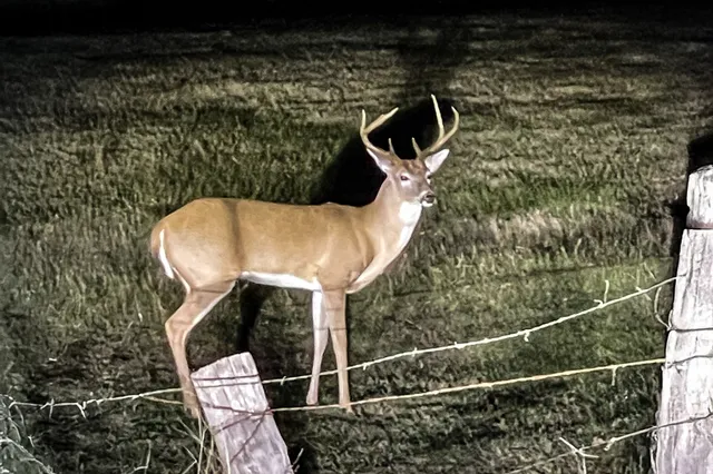 $700,000 | 145 Private Road 5749, Groesbeck, TX 76642