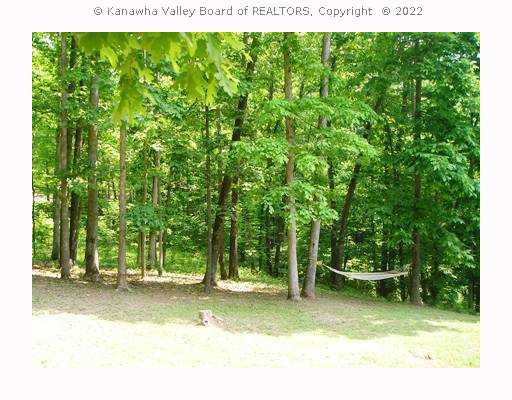 95 Statts Mills Road Ripley, WV 25271 - Photo 8 of 8 Land/Lot.