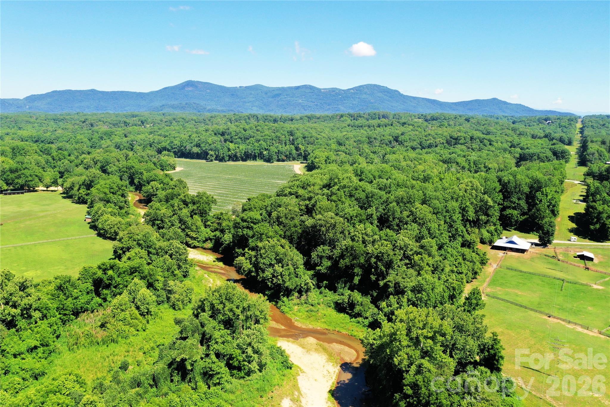 0 River Road Tryon, NC 28782 - Photo 18 of 30