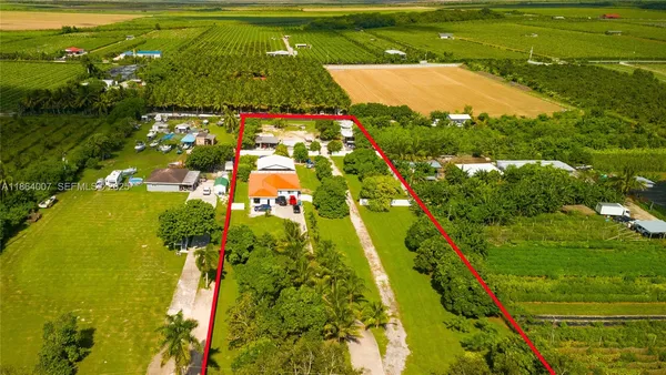 a view of a yard with plants and trees