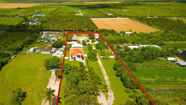 a view of a yard with plants and trees