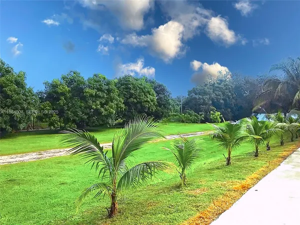 a street view with wooden fence