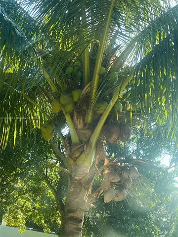 $1,050,000 | 36520 Southwest 214th Avenue, Homestead, FL 33034