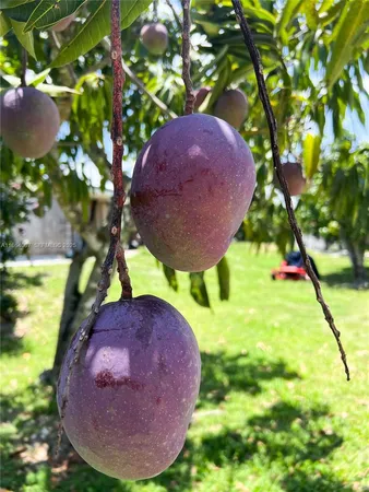 $994,999 | 36520 Southwest 214th Avenue, Homestead, FL 33034