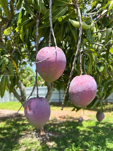 $1,050,000 | 36520 Southwest 214th Avenue, Homestead, FL 33034