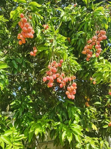 $1,050,000 | 36520 Southwest 214th Avenue, Homestead, FL 33034