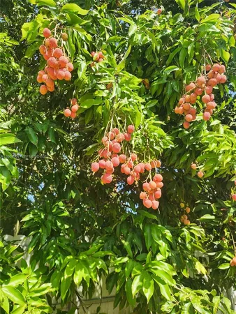 $994,999 | 36520 Southwest 214th Avenue, Homestead, FL 33034