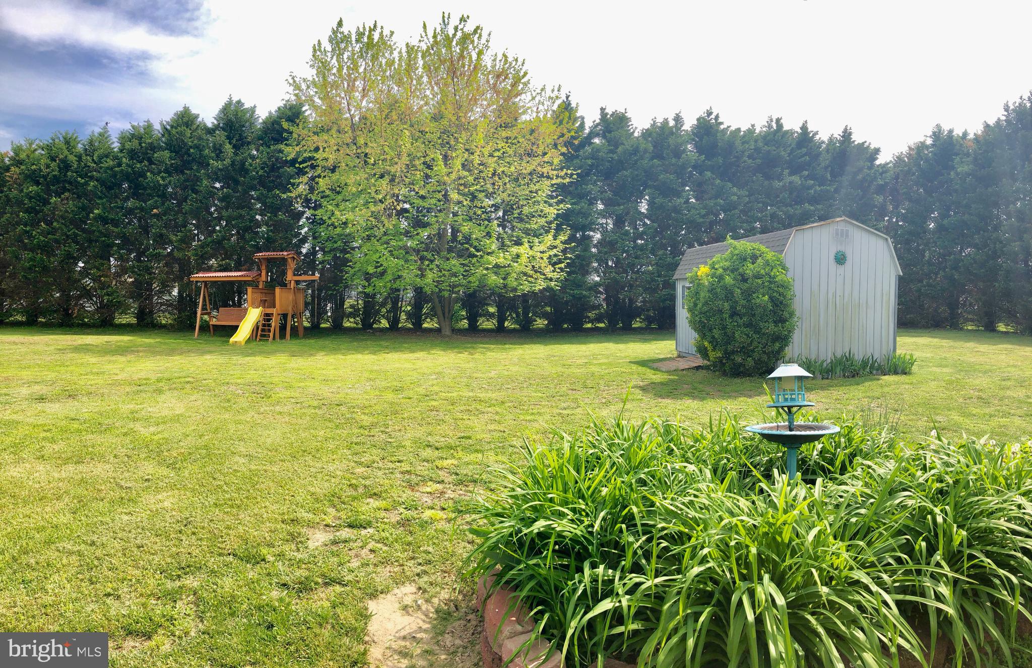 3492 Midstate Road Felton, DE 19943 - Photo 24 of 27 1.0+ Acre of Private Land Lined w Trees