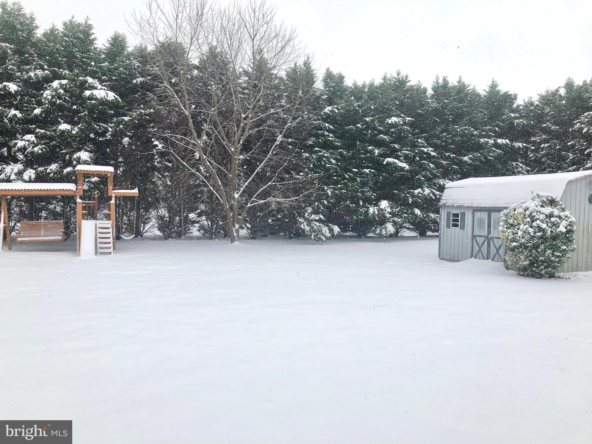 3492 Midstate Road Felton, DE 19943 - Photo 25 of 27 Large Yard for Family Activities in All Seasons!