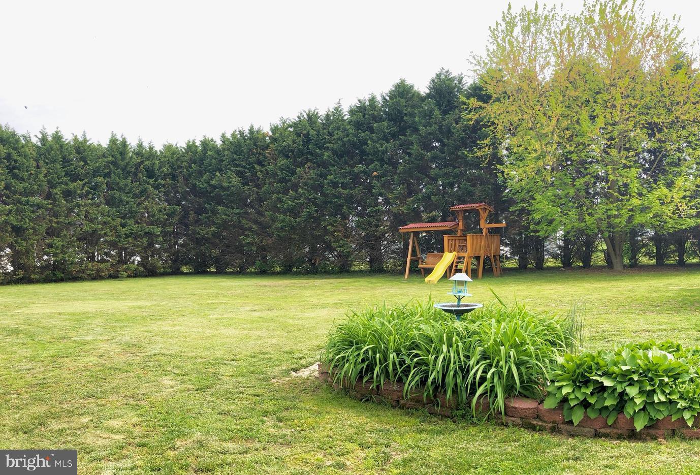 3492 Midstate Road Felton, DE 19943 - Photo 6 of 27 Large Private Backyard Lined w Trees & Landscaping