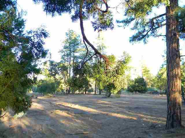 2073 B Gilbert Lane Overgaard, AZ 85933 - Photo 12 of 15