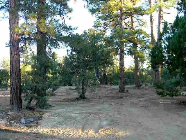 2073 B Gilbert Lane Overgaard, AZ 85933 - Photo 14 of 15