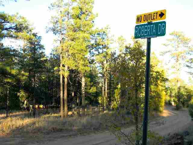 2073 B Gilbert Lane Overgaard, AZ 85933 - Photo 15 of 15