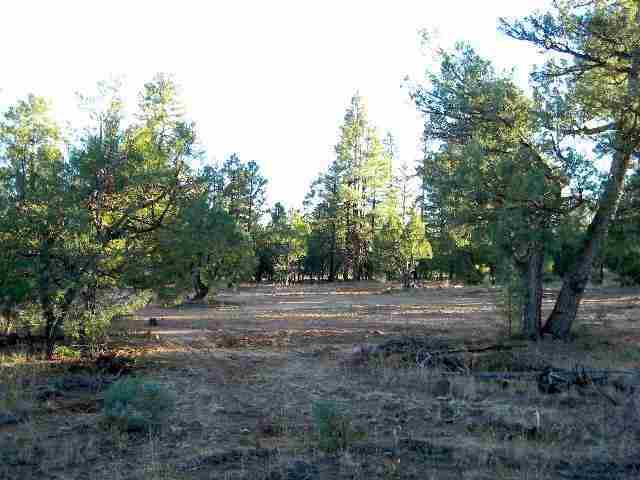 2073 B Gilbert Lane Overgaard, AZ 85933 - Photo 3 of 15