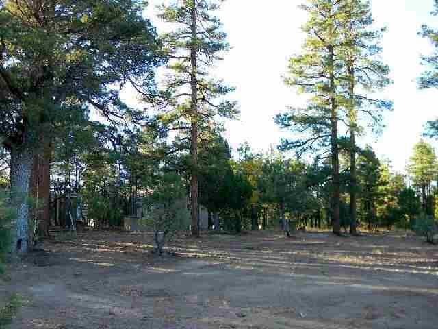 2073 B Gilbert Lane Overgaard, AZ 85933 - Photo 7 of 15