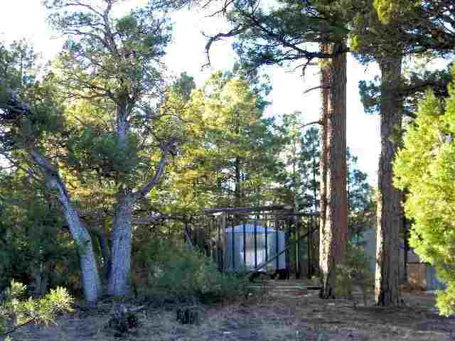 2073 B Gilbert Lane Overgaard, AZ 85933 - Photo 8 of 15