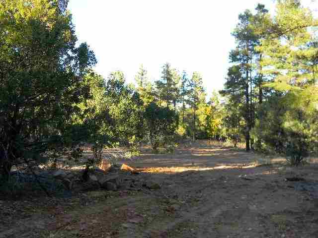 2073 B Gilbert Lane Overgaard, AZ 85933 - Photo 10 of 15