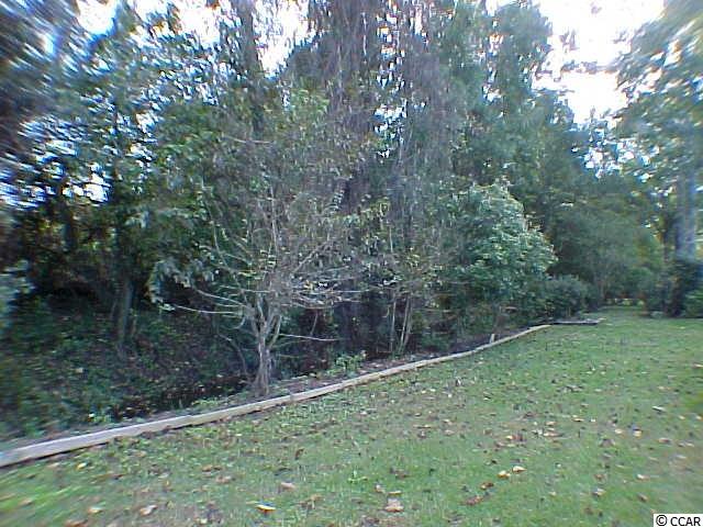 643 Bluebird Lane Murrells Inlet, SC 29576 - Photo 23 of 25 Gallery Image 23