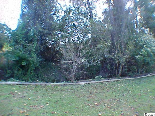 643 Bluebird Lane Murrells Inlet, SC 29576 - Photo 24 of 25 Gallery Image 24