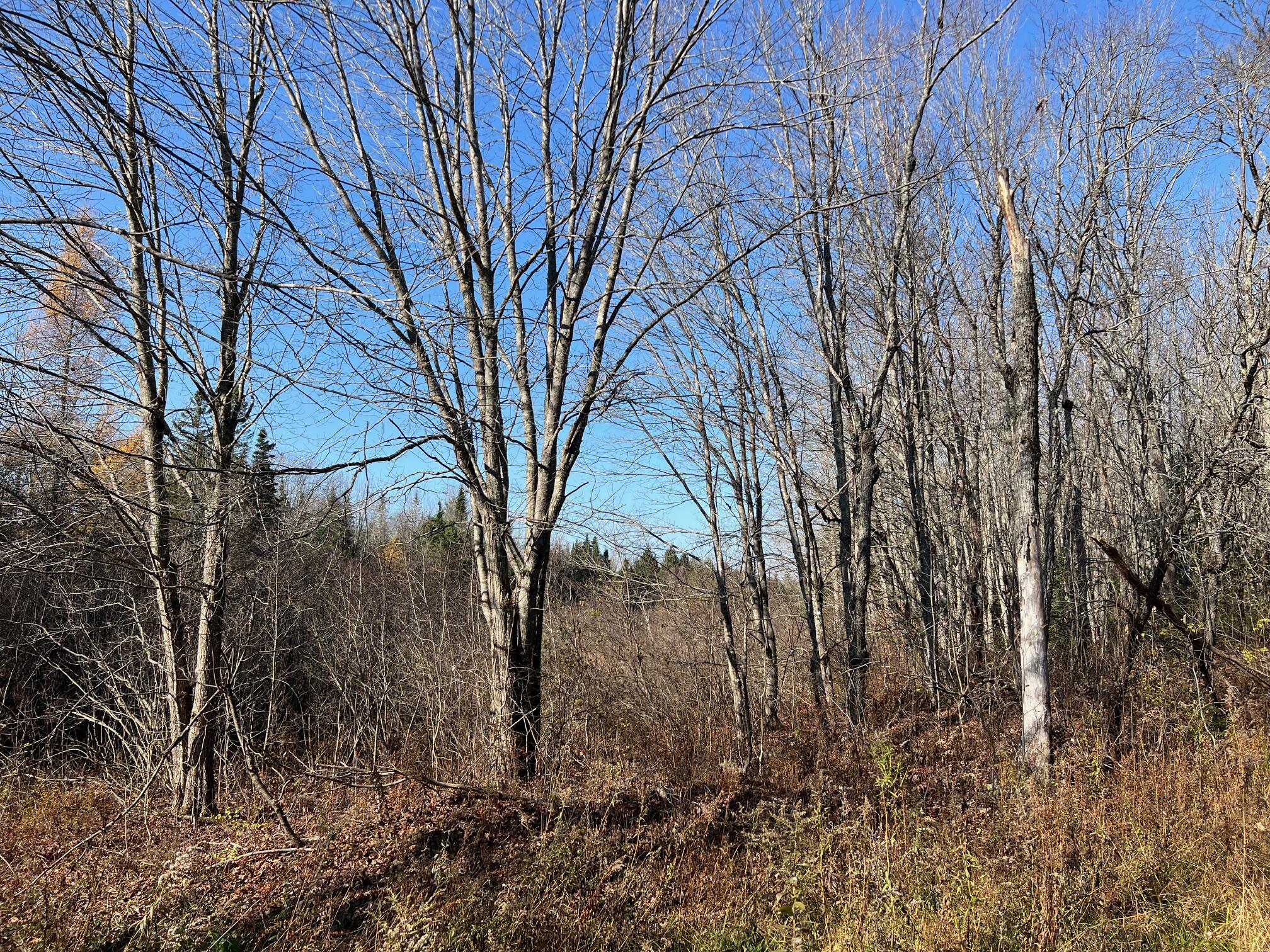 11 Map Road Garland, ME 04939 - Photo 3 of 5 3