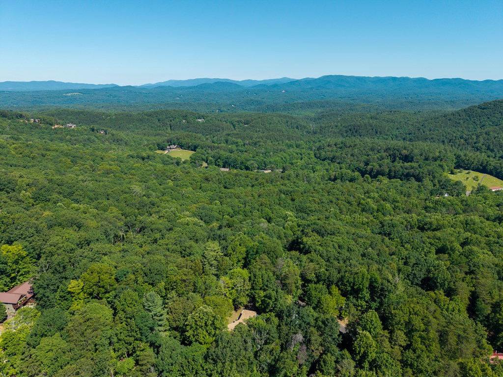 775 Mountain Oak Road Ellijay, GA 30536 - Photo 66 of 106