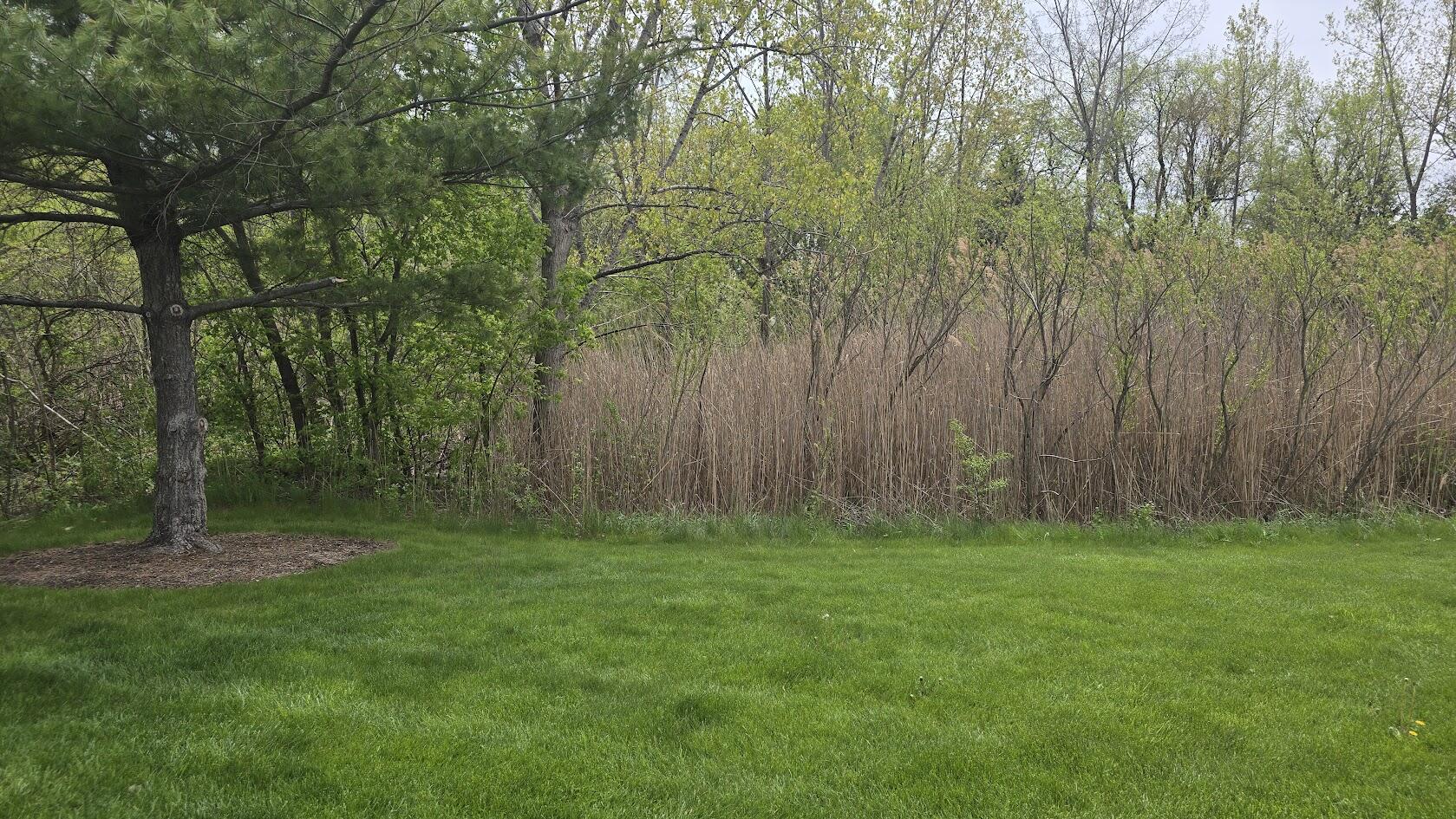 8055 Lexington Place, Unit 12 Pleasant Prairie, WI 53158 - Photo 4 of 22 20260505_115310