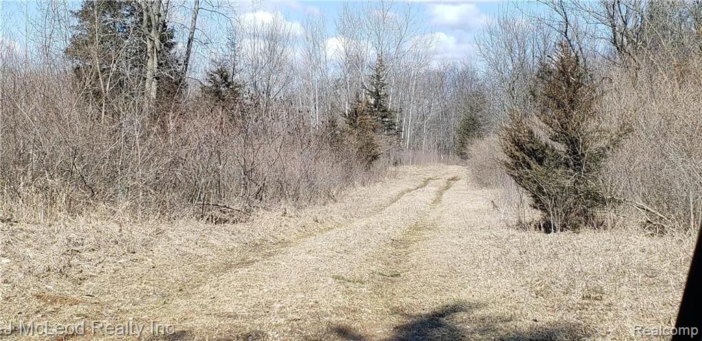 Vl Oak Road Millington, MI 48746 - Photo 3 of 10