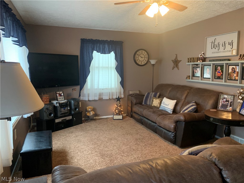 110 Union Street Lagrange, OH 44050 - Photo 6 of 27