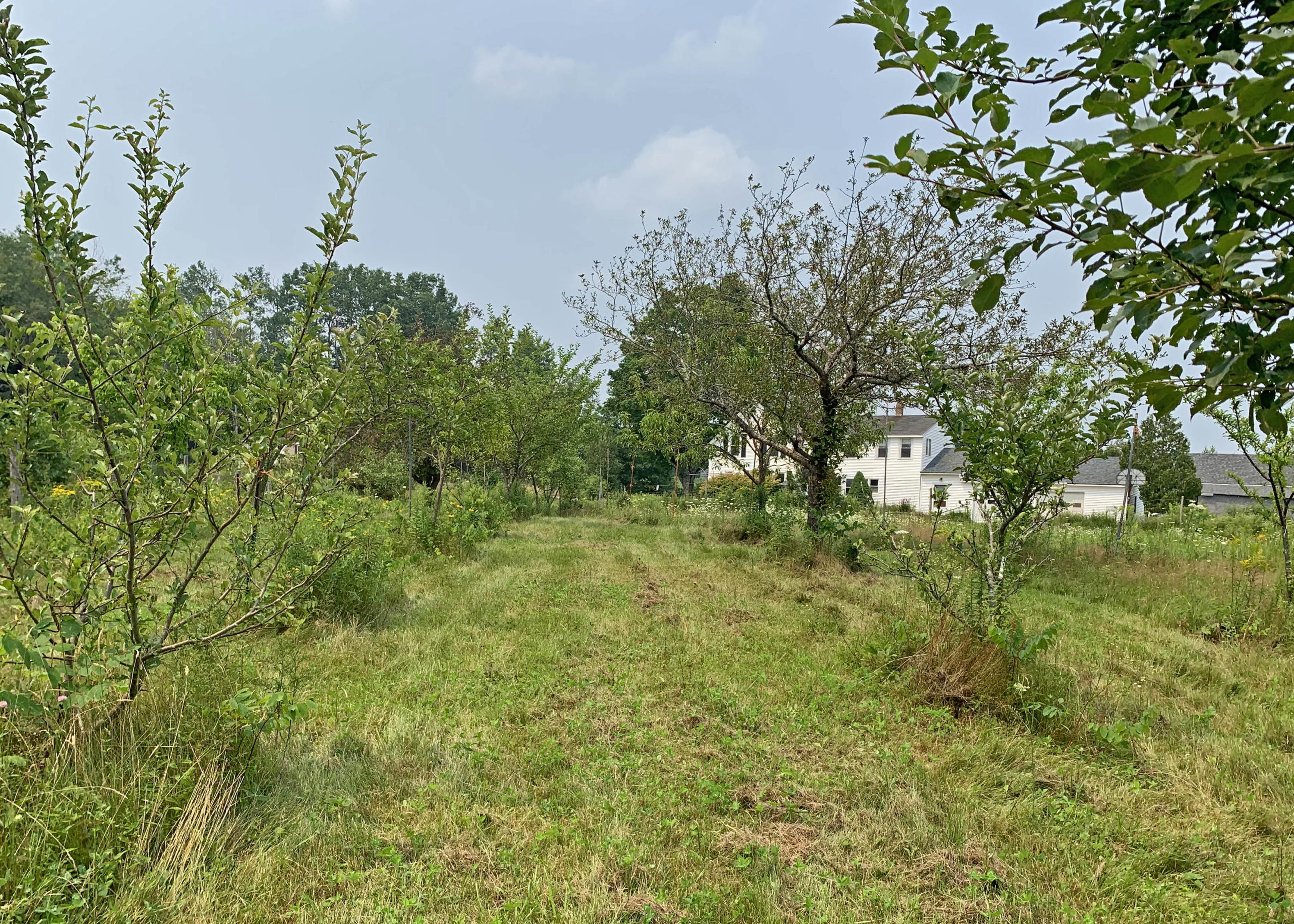 1459 Mariaville Road Ellsworth, ME 04605 - Photo 7 of 41 1g
