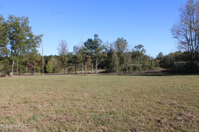 $35,000 | 113 Bull Horn Road, Como, MS 38619
