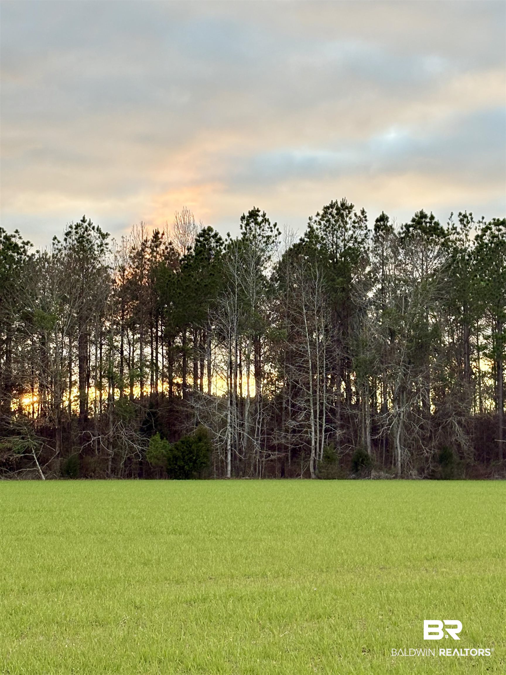 0 Ward Road Frisco City, AL 36445 - Photo 2 of 12 View of yard