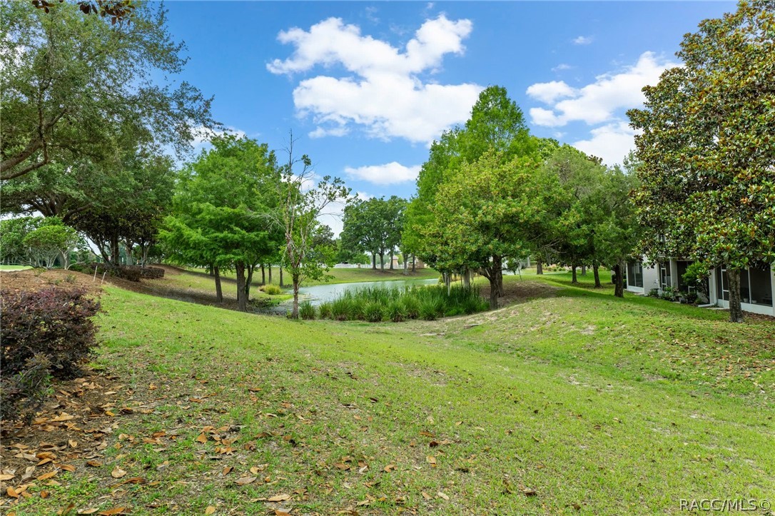 1646 West Spring Meadow Loop Lecanto, FL 34461 - Photo 28 of 47