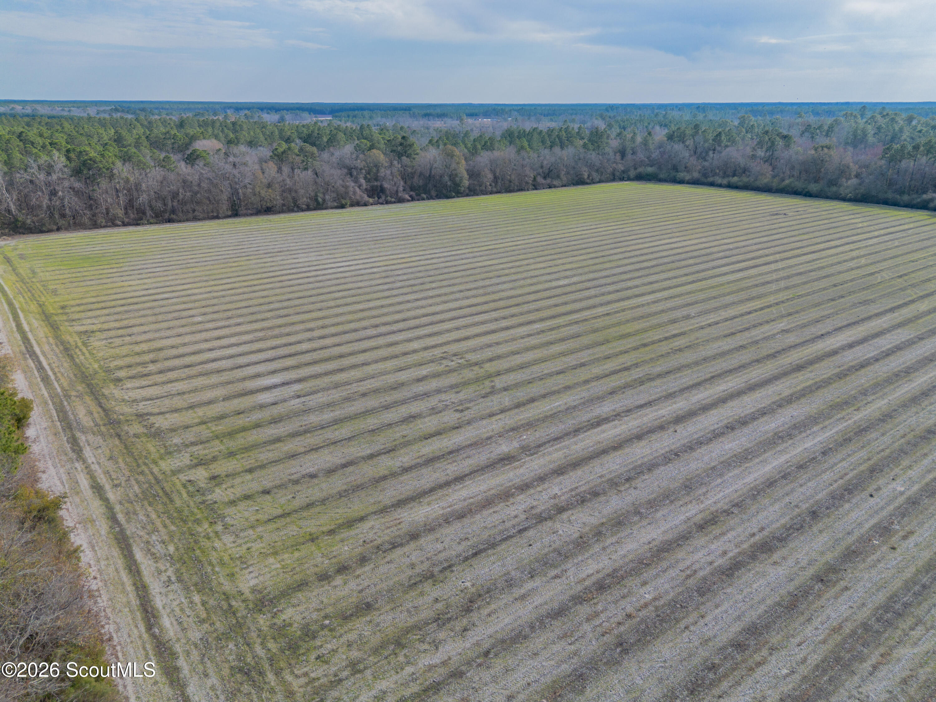 0 Reddish Road Odum, GA 31555 - Photo 19 of 46 230-AC-REDDISH-ODUM-18