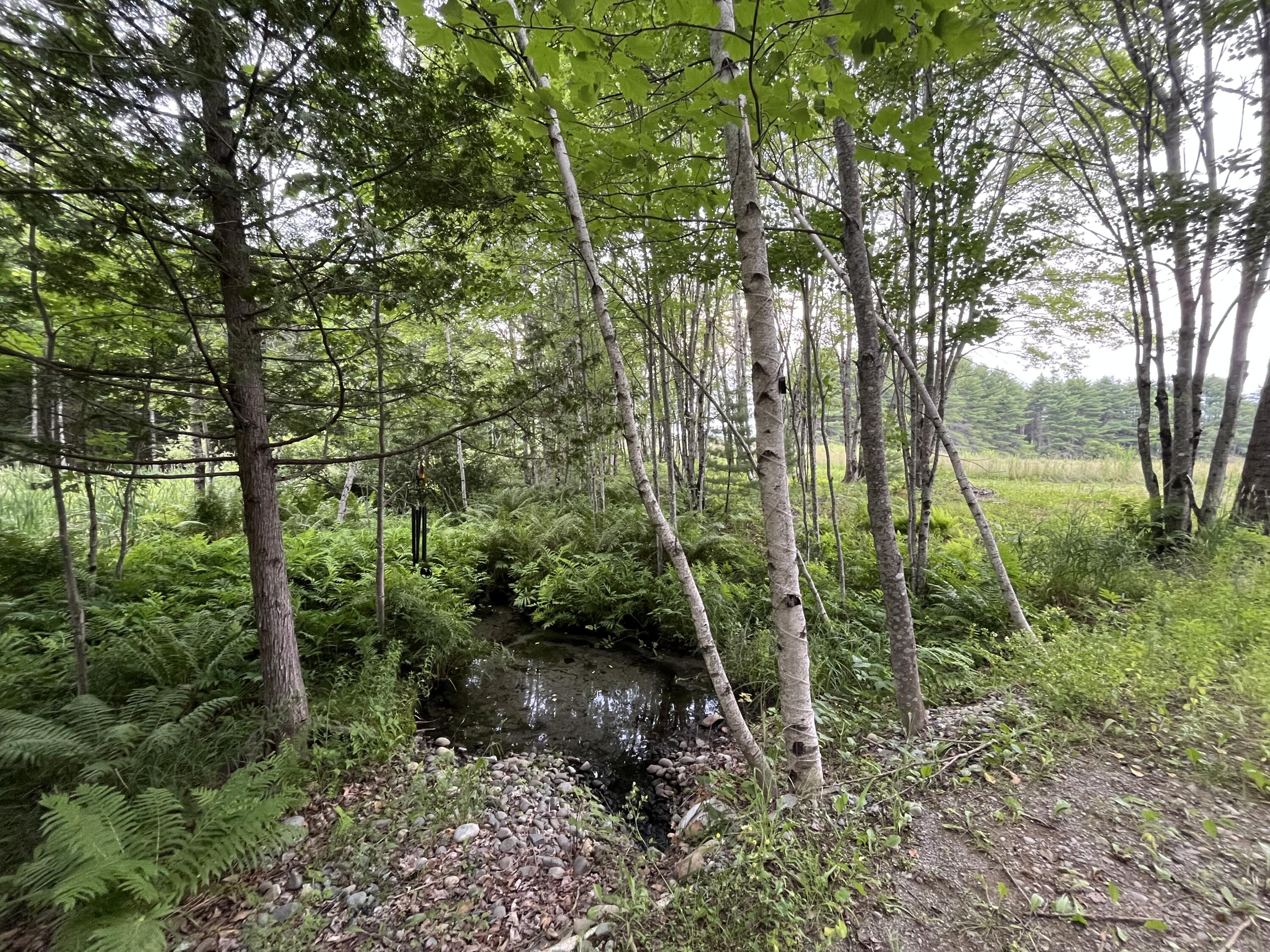 101 Sitka Way Norridgewock, ME 04957 - Photo 5 of 17 IMG_7215
