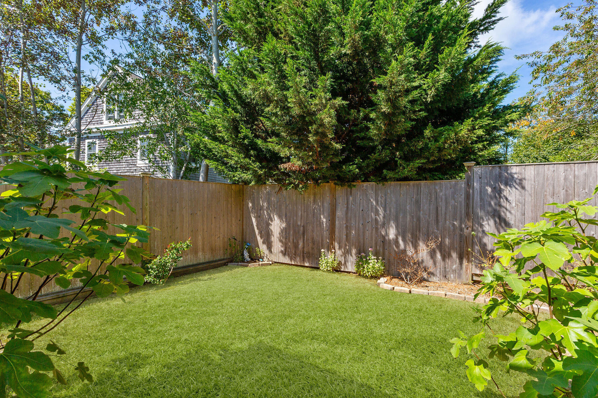 16 Off Conwell Street Provincetown, MA 02657 - Photo 22 of 30 VIRTUAL grass -16