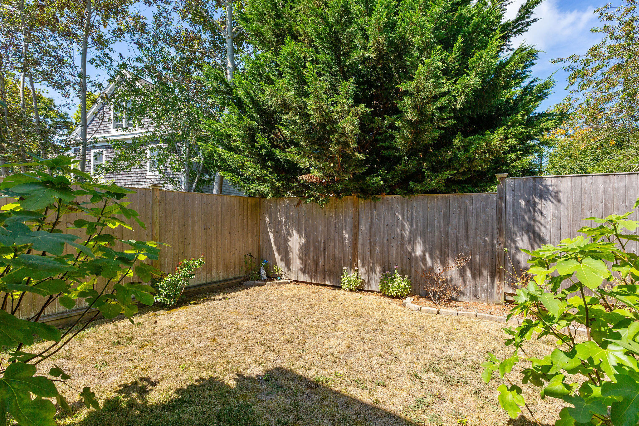 16 Off Conwell Street Provincetown, MA 02657 - Photo 23 of 30 Rear yard Grass-16